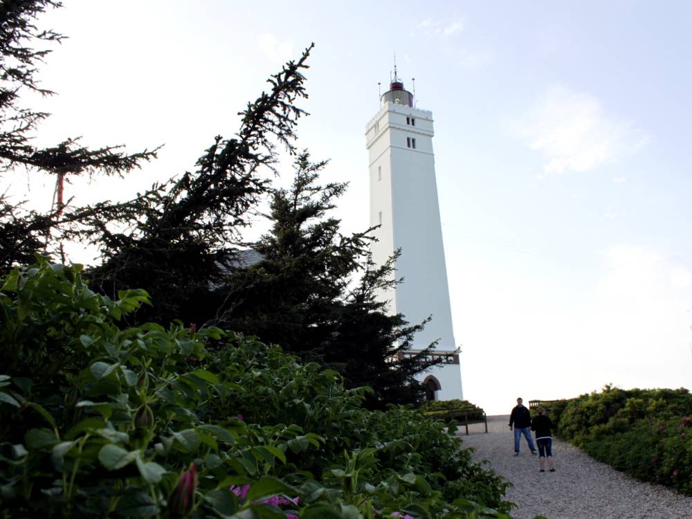Wanderrouten in Dänemark: Leuchtturm von Blåvandshuk am Küste-zu-Küste-Pfad gelegen