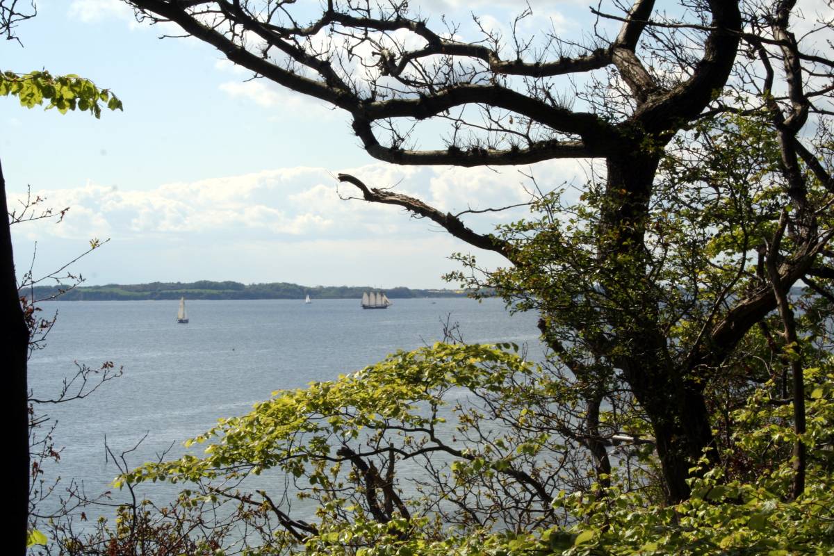 Blick auf die Flensburger Förde vom Gendarmstieg