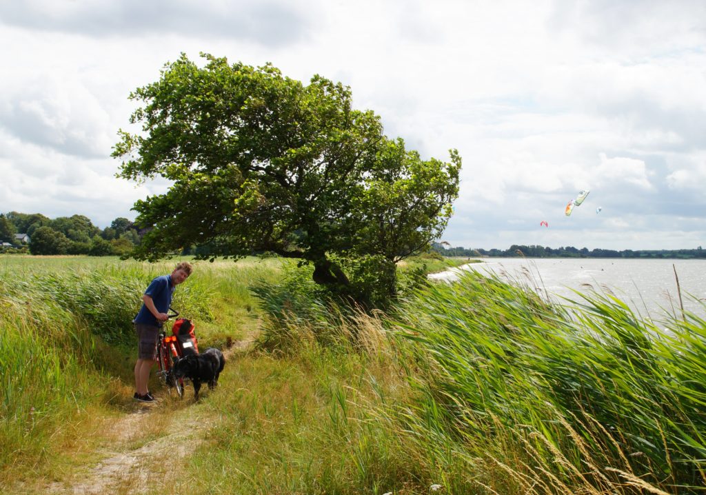Mann mit Fahrrad und Hund am Ufer in Südjütland. 