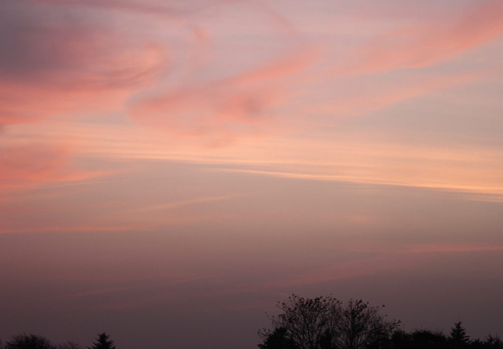 Ansicht Himmel und Bäume in rosarotem Licht