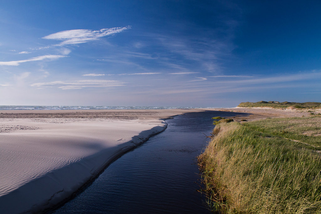 Blauer Himmel, Strand und Meer; hier müsste man Robbe sein! – Foto: © Annika Toth