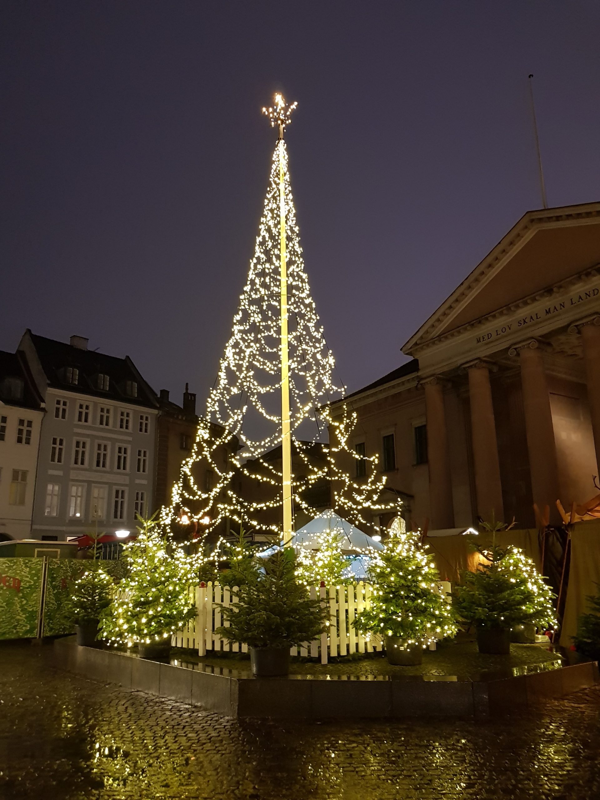 Weihnachtsbaum, Kopenhagen, Dänemark – Foto: Nicole Stroschein