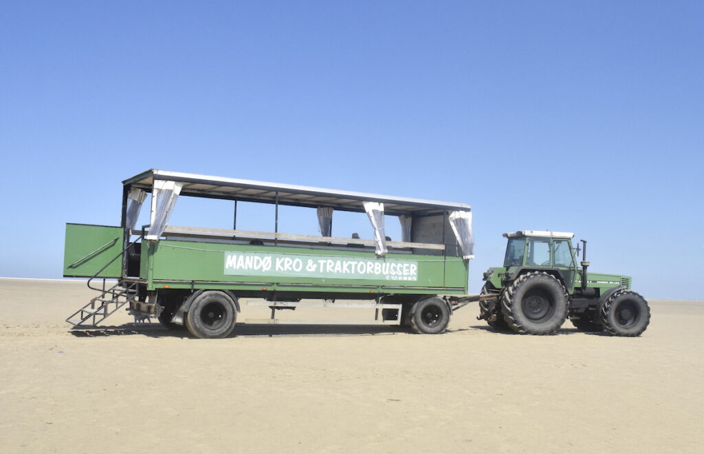 Auf Mandø gibt es Robben-Safaris mit dem Traktor-Bus – Foto: Nicole Stroschein