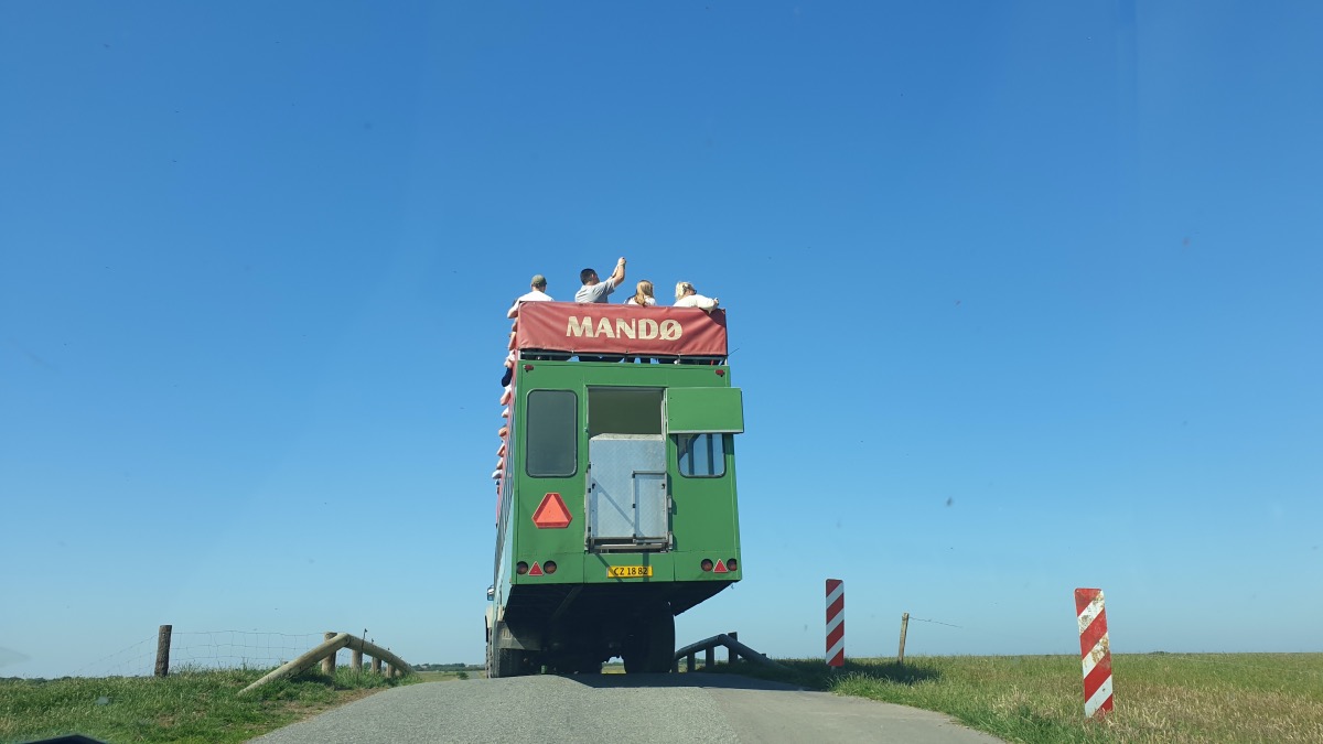 Der Traktor-Bus auf dem Weg nach Mandø – Foto: Nicole Stroschein