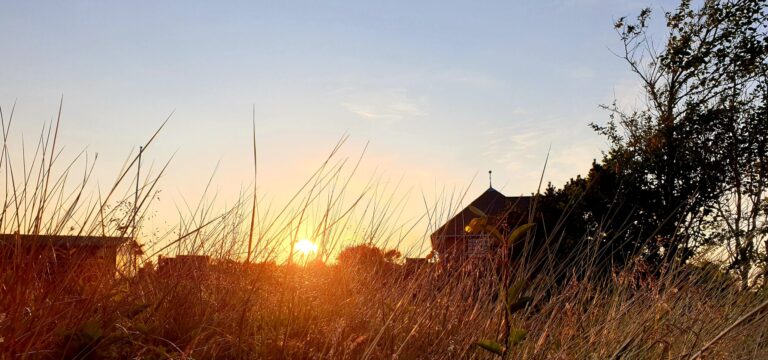Perfekter Sonnenuntergang auf der dänischen Insel Rømø – Foto: Nicole Stroschein