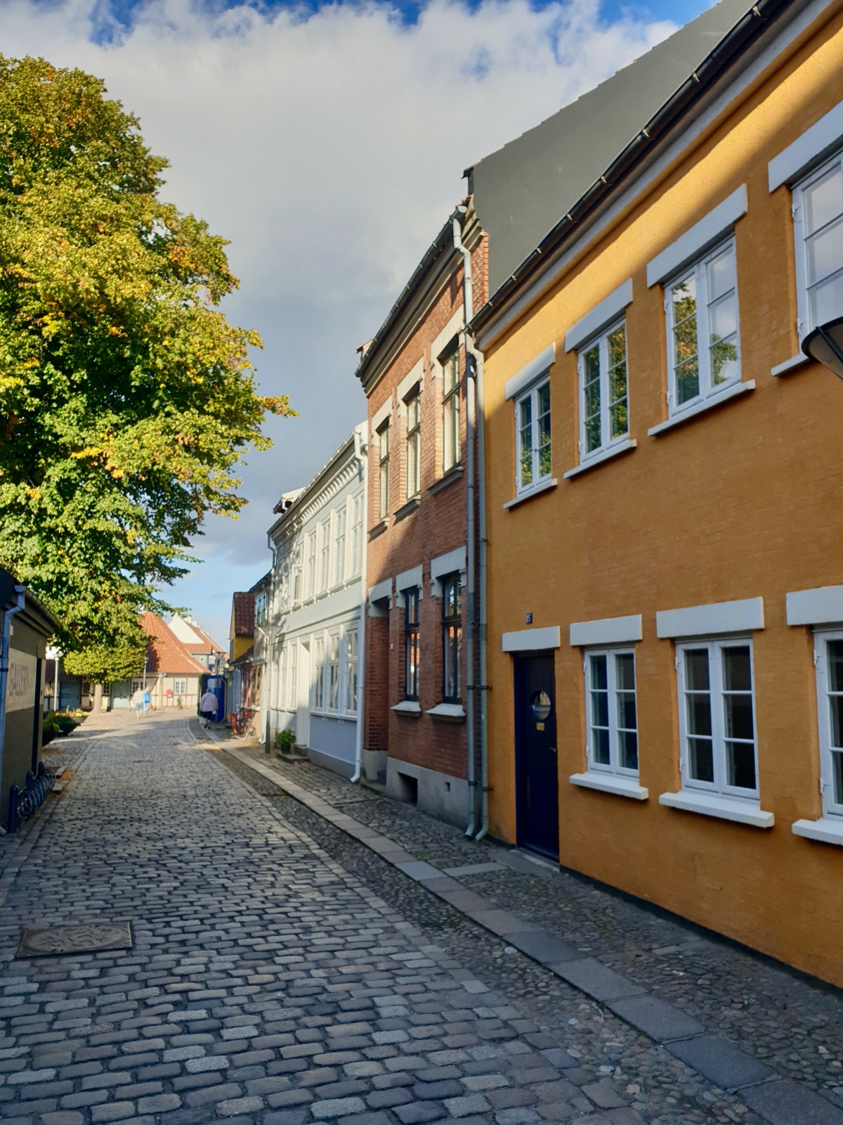 Altstadt von Odense, Dänemark