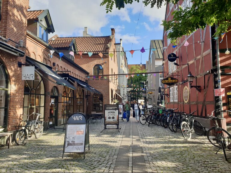 Die Vintapperstraede in Odense – Foto: NIcole Schmidt