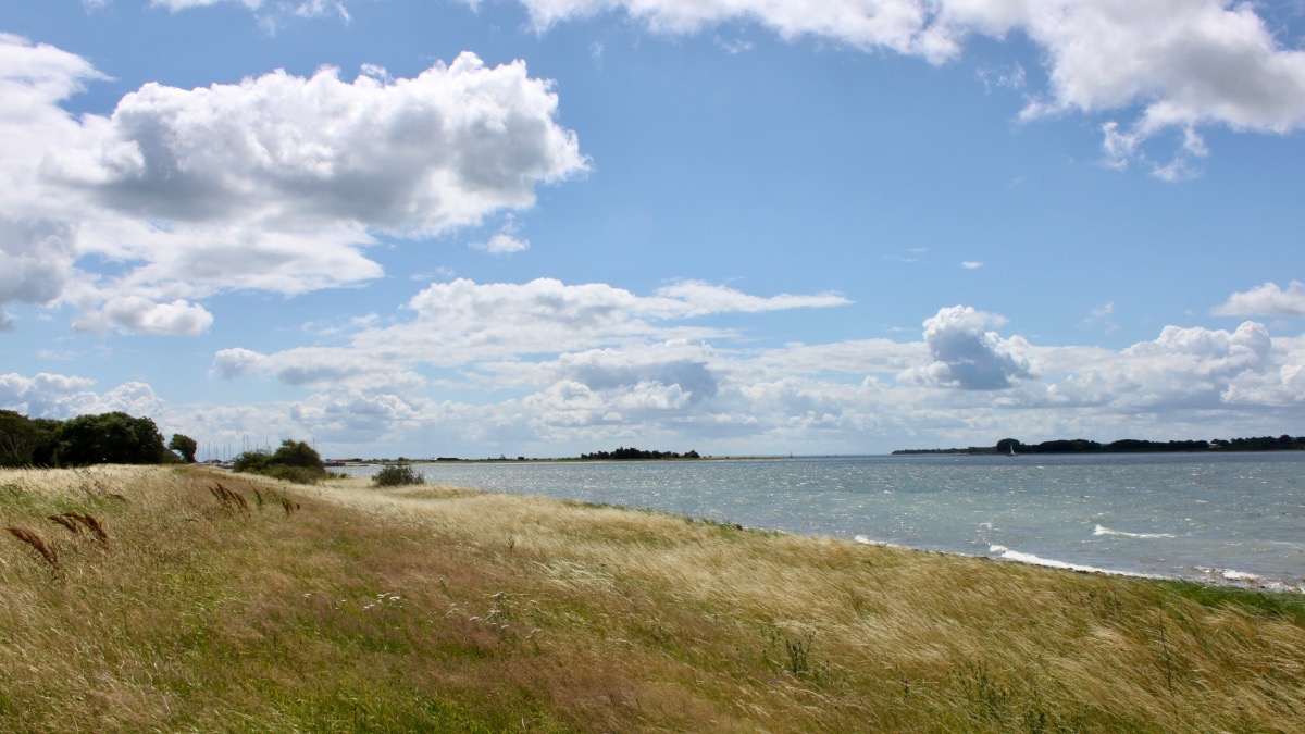 Unberührte Natur auf Aarø, Blick aufs Wasser – Foto: dk-ferien
