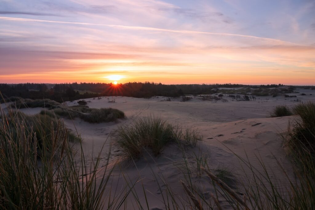 Sonnenuntergang über der Düne Råbjerg Mile in Nordjütland, Dänemark – Foto: AdobeStock/Lars Gieger