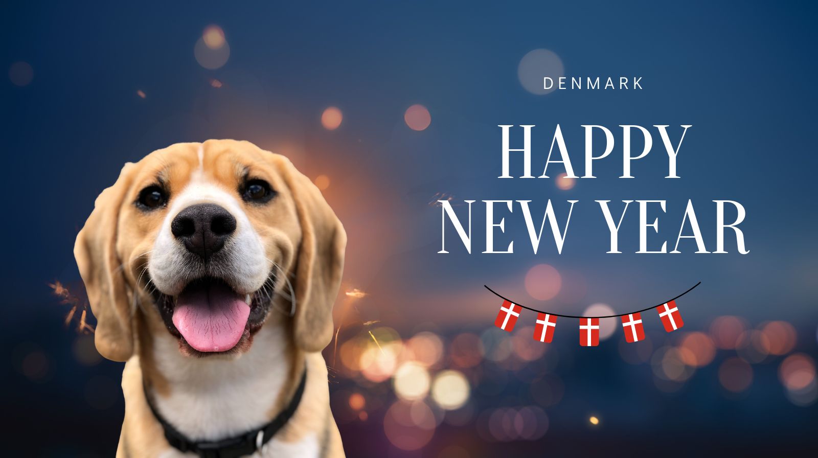 Silvester mit Hund in Dänemark. Schriftzug: Happy New Year
