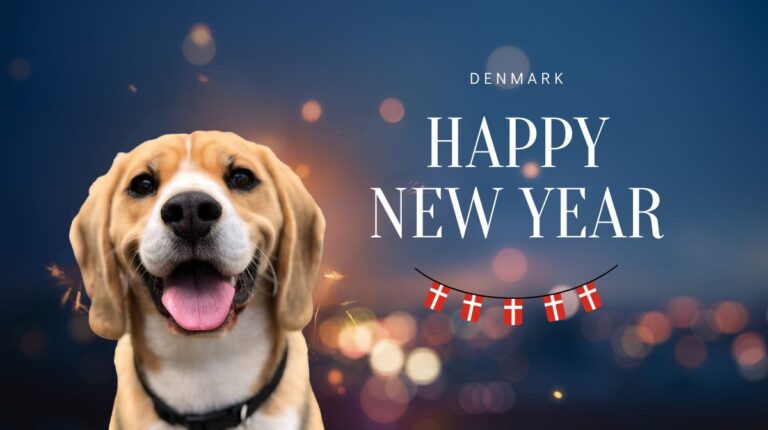 Silvester mit Hund in Dänemark. Schriftzug: Happy New Year